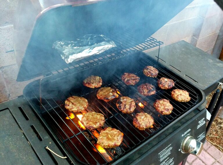 Lean Bison Burgers