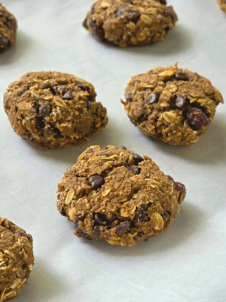 Autumn Harvest Oatmeal Cookies
