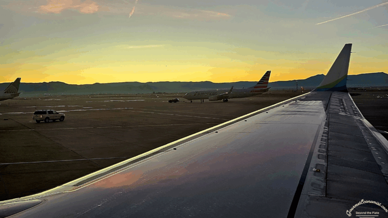 The Economics of Airport Wait Times
