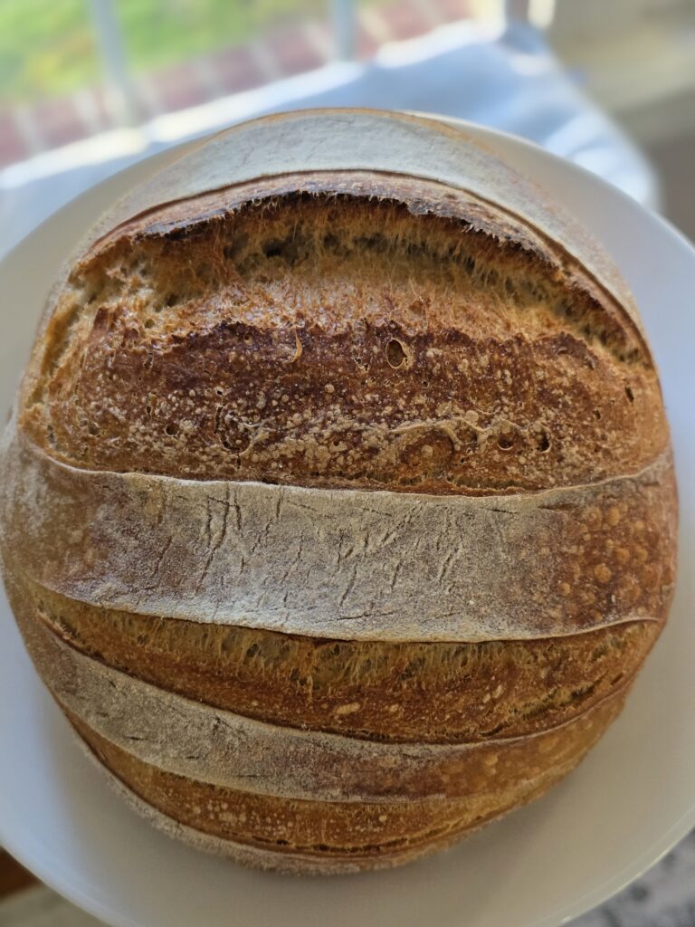 Classic Sourdough Boule
